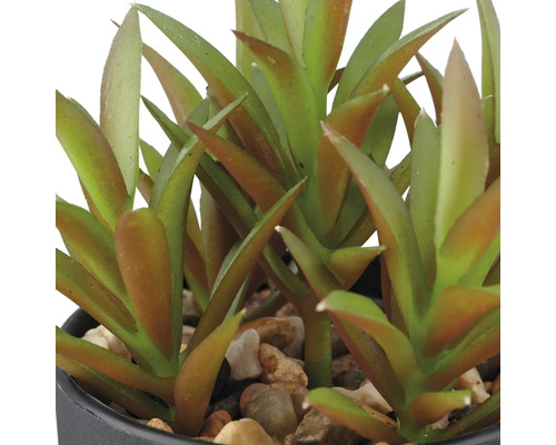 Plante grasse artificielle en pot avec des pierres
