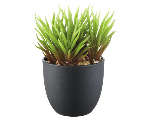 Plante grasse artificielle dans un pot noir