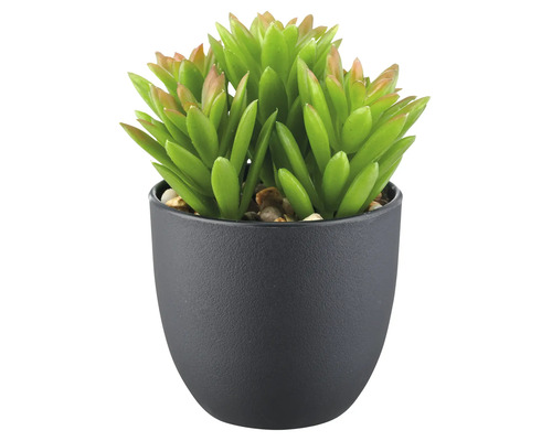 Plante grasse artificielle en pot