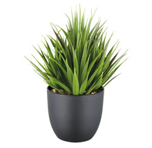 Plante artificielle en pot