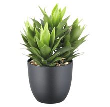Plante succulente artificielle dans un pot