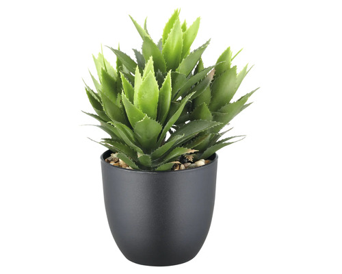 Plante succulente artificielle dans un pot