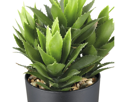 Plante grasse artificielle en pot