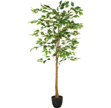 Ficus artificiel en pot