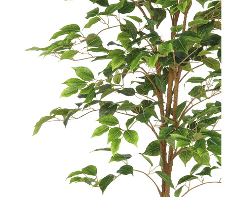 Nahaufnahme eines künstlichen Birkenfeigenbaums mit grünen Blättern und braunen Ästen