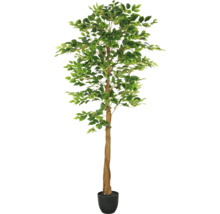 Ficus artificiel en pot comme décoration