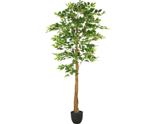Ficus artificiel en pot comme décoration