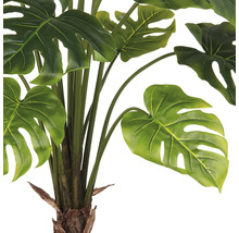 Nahaufnahme einer künstlichen Monstera Pflanze mit grünen Blättern.