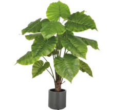 Künstliche Alocasia Pflanze in einem Topf