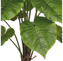 Detailaufnahme einer künstlichen Alocasia Zimmerpflanze mit grossen grünen Blättern.