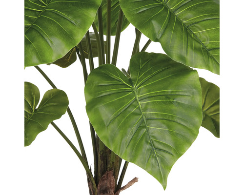 Detailaufnahme einer künstlichen Alocasia Zimmerpflanze mit grossen grünen Blättern.
