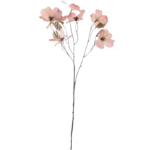 Branche décorative avec fleurs