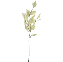 Branche décorative avec feuilles pour compositions florales