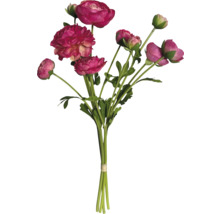 Bouquet de renoncules roses
