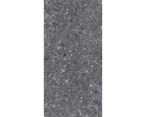 Feinsteinzeug Wand- und Bodenfliese Luxora anthracite BxLxS 30x60x0.85 cm Feinsteinzeug Wand- und Bodenfliese Luxora anthracite BxLxS 30x60x0.85 cm