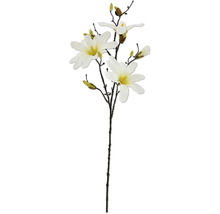 Branche de magnolia décorative avec fleurs et boutons.