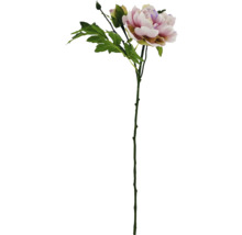 Branche de pivoine décorative avec fleur et feuilles