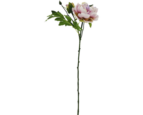 Branche de pivoine décorative avec fleur et feuilles
