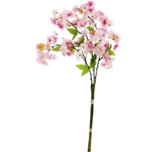 Branche de fleurs de cerisier décorative