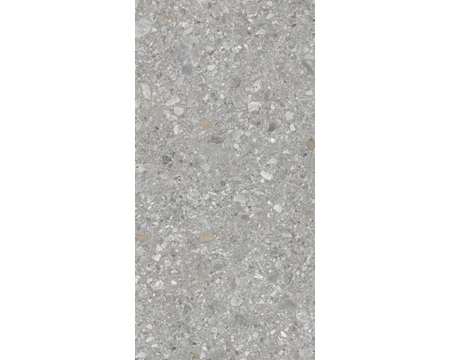 Feinsteinzeug Wand- und Bodenfliese Luxora grey BxLxS 30x60x0.85 cm Feinsteinzeug Wand- und Bodenfliese Luxora grey BxLxS 30x60x0.85 cm