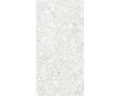 Feinsteinzeug Wand- und Bodenfliese Luxora white BxLxS 30x60x0.85 cm Feinsteinzeug Wand- und Bodenfliese Luxora white BxLxS 30x60x0.85 cm