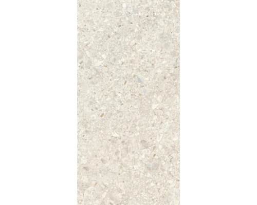 Feinsteinzeug Wand- und Bodenfliese Luxora almond BxLxS 30x60x0.85 cm Feinsteinzeug Wand- und Bodenfliese Luxora almond BxLxS 30x60x0.85 cm
