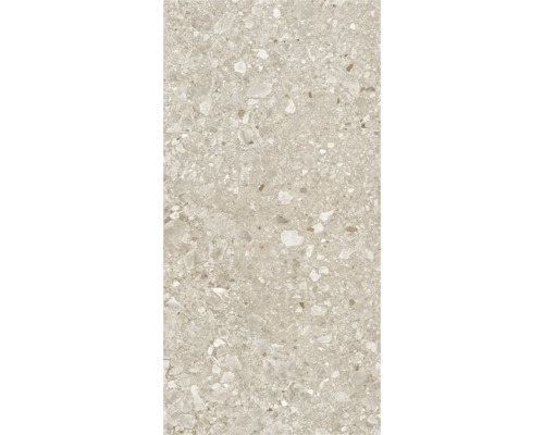Feinsteinzeug Wand- und Bodenfliese Luxora beige BxLxS 30x60x0.85 cm Feinsteinzeug Wand- und Bodenfliese Luxora beige BxLxS 30x60x0.85 cm