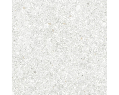 Feinsteinzeug Wand- und Bodenfliese Luxora white BxLxS 60x60x0.85 cm Feinsteinzeug Wand- und Bodenfliese Luxora white BxLxS 60x60x0.85 cm
