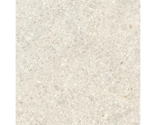 Feinsteinzeug Wand- und Bodenfliese Luxora almond BxLxS 60x60x0.85 cm Feinsteinzeug Wand- und Bodenfliese Luxora almond BxLxS 60x60x0.85 cm