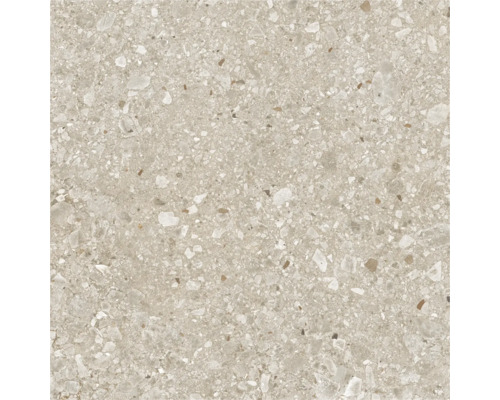 Feinsteinzeug Wand- und Bodenfliese Luxora beige BxLxS 60x60x0.85 cm Feinsteinzeug Wand- und Bodenfliese Luxora beige BxLxS 60x60x0.85 cm