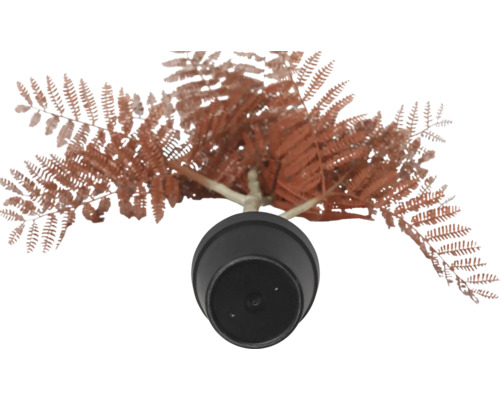 Fausse plante fougère en pot, vue de dessus