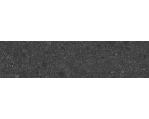 Marche d'escalier en grès cérame Donau graphite L x l x P 29,8 cm x 120 cm x 0,9 cm Marche d'escalier en grès cérame Donau graphite L x l x P 29,8 cm x 120 cm x 0,9 cm