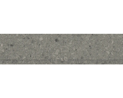 Marche d'escalier en grès cérame fin Donau gris L x l x P 29,8 cm x 120 cm x 0,9 cm Marche d'escalier en grès cérame fin Donau gris L x l x P 29,8 cm x 120 cm x 0,9 cm