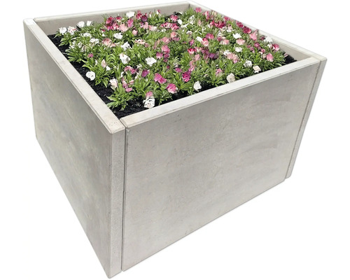 Bac à fleurs carré avec plantes fleuries