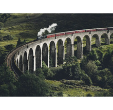 Ein Zug fährt über das Glenfinnan Viadukt, eine Eisenbahnbrücke in Schottland.