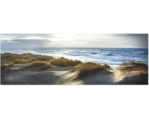 Dünenlandschaft mit Gras und Meer