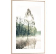 Gerahmtes Wandbild mit Waldmotiv, Baum im Nebel und Sonnenschein