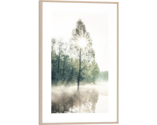 Gerahmtes Bild Sunny Tree 20x30 cm Gerahmtes Wandbild mit Waldmotiv, Baum im Nebel und Sonnenschein
