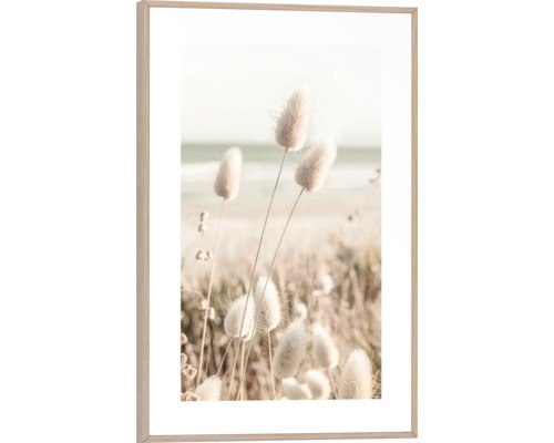 Gerahmtes Bild Romantic Grass 20x30 cm Gerahmtes Bild mit Darstellung von Hasenschwanzgras vor einer Küstenlandschaft