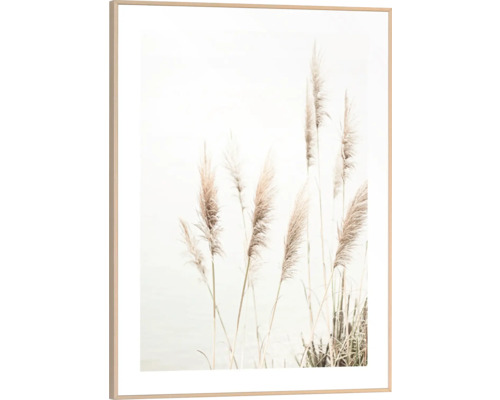 Gerahmtes Bild Dune Grass 30x40 cm Gerahmtes Bild mit dekorativem Schilfgras