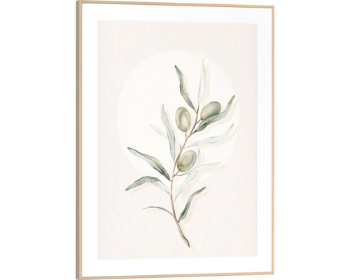 Gerahmtes Bild Circle Olives 30x40 cm Gerahmtes Wandbild mit Olivenzweig
