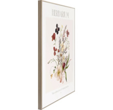 Gerahmtes Herbarium Pflanzenbild für die Wand