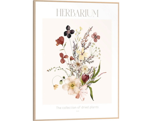 Gerahmtes Bild Herbarium 30x40 cm Gerahmtes Herbarium-Poster mit Abbildung von getrockneten Blumen