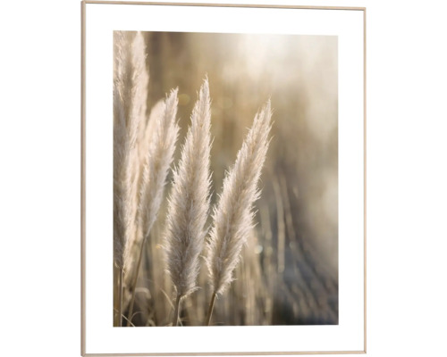 Gerahmtes Bild Sunset Grasses 40x50 cm Dekoratives Bild mit Rahmen, das Pampasgras zeigt