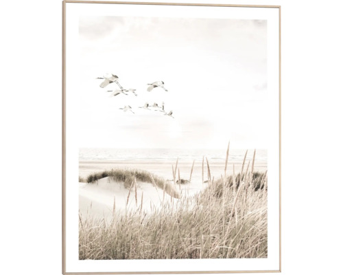 Gerahmtes Bild Botanical Beach 40x50 cm Gerahmtes Bild mit Kranichen, die über eine Küstenlandschaft fliegen