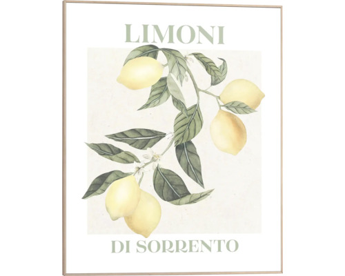 Gerahmtes Bild Limoni 40x50 cm Gerahmtes Bild mit Zitronenmotiv und dem Schriftzug Limoni Di Sorrento