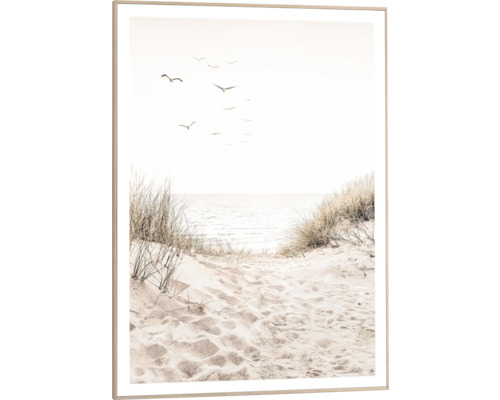 Gerahmtes Bild Dunepath 50x70 cm Gerahmtes Bild mit Strand, Meer und Möwen