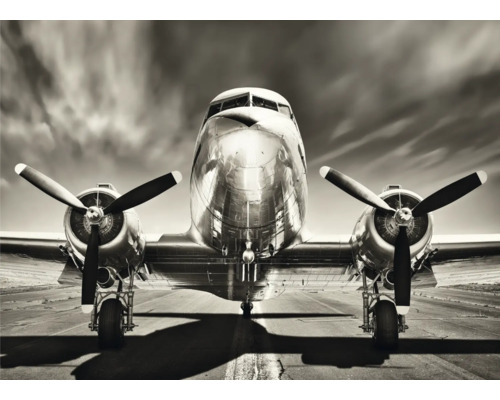 Decopanel Flugzeug 136x98 cm Frontansicht eines silberfarbenen Flugzeugs auf einer Landebahn