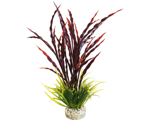 Plante d''aquarium décorative avec des éléments rouges et verts dans un lit de gravier