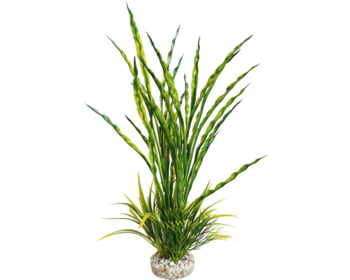 Plante d''aquarium décorative avec des feuilles vertes